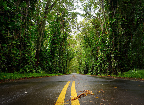 Take a round-trip drive from Līhu'e to Waimea Canyon Take a round-trip drive from Līhu'e to Waimea Canyon