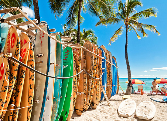 Drive through Hawaii, The Big Island