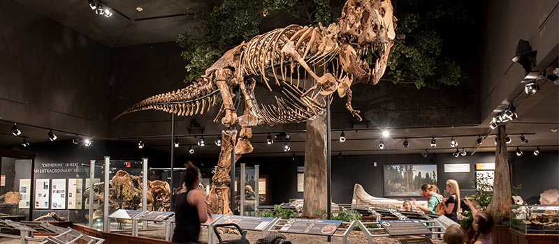 Bozeman Museum Rockies Bozeman Museum Rockies