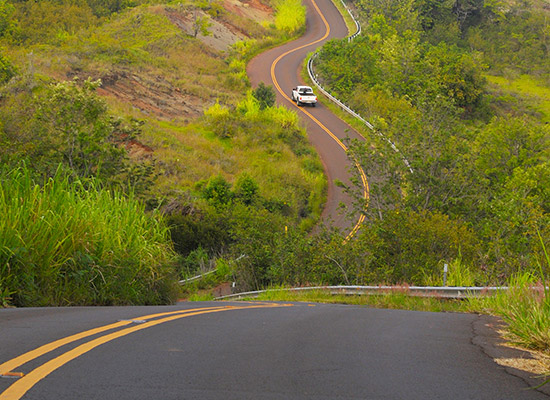 The Hawaiian belt The Hawaiian belt