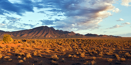 Flinders Ranges