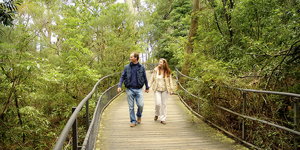 Morton National Park