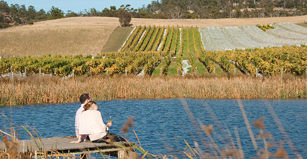 Puddleduck Vineyard