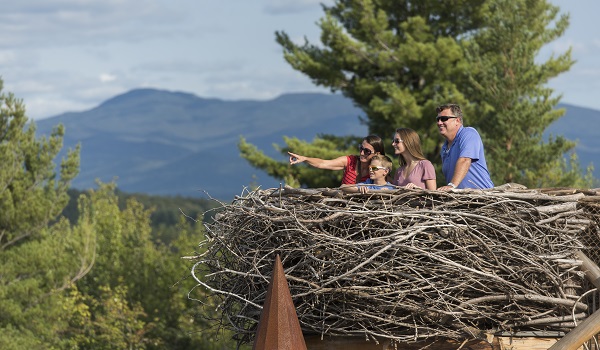 Lake Placid Lake Placid