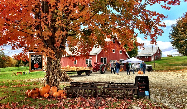 Soukup Farms Soukup Farms USA