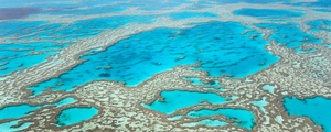 Great Barrier Reef in 1 Day